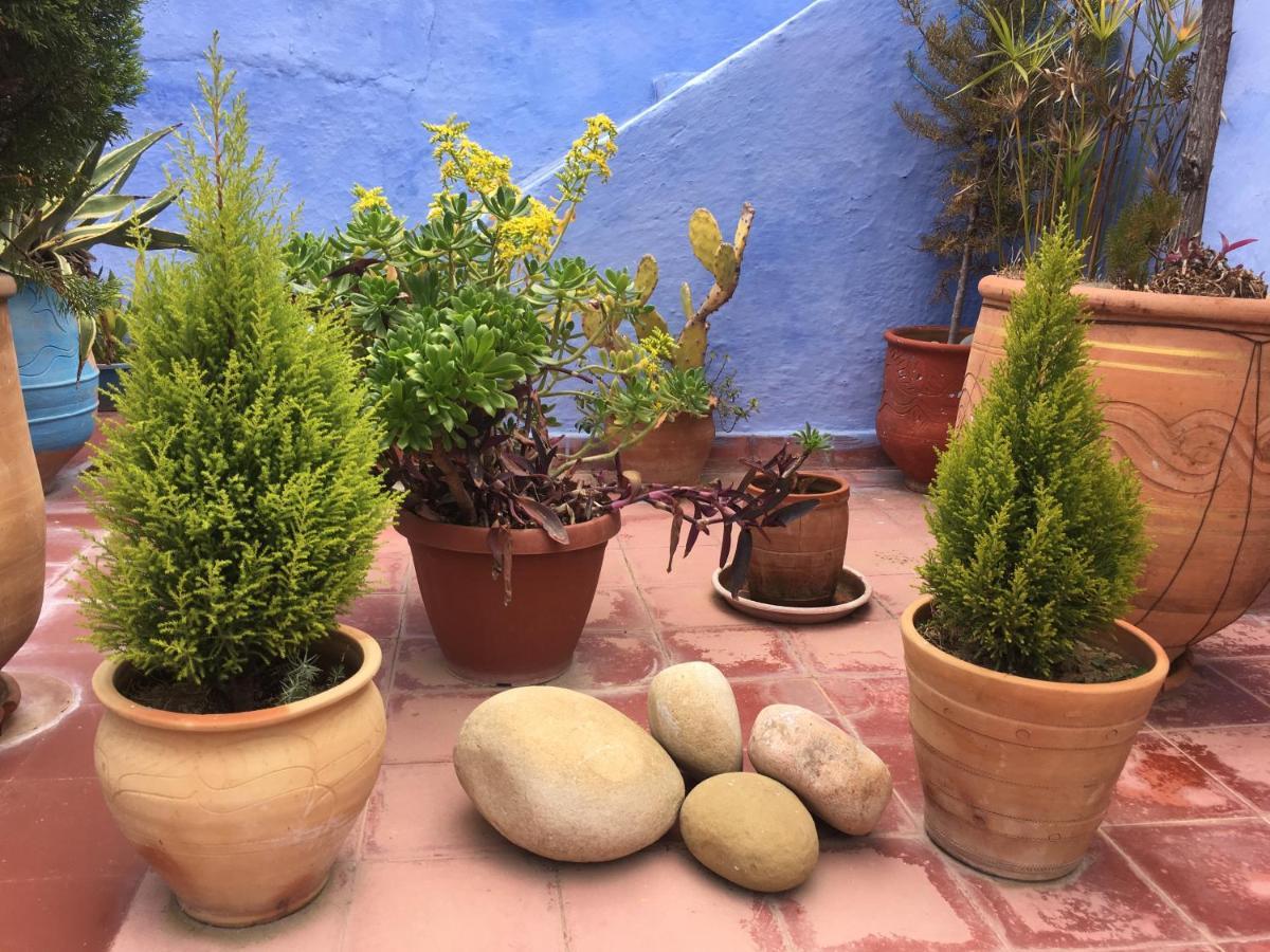 Dar Onsar Panzió Chefchaouen Kültér fotó